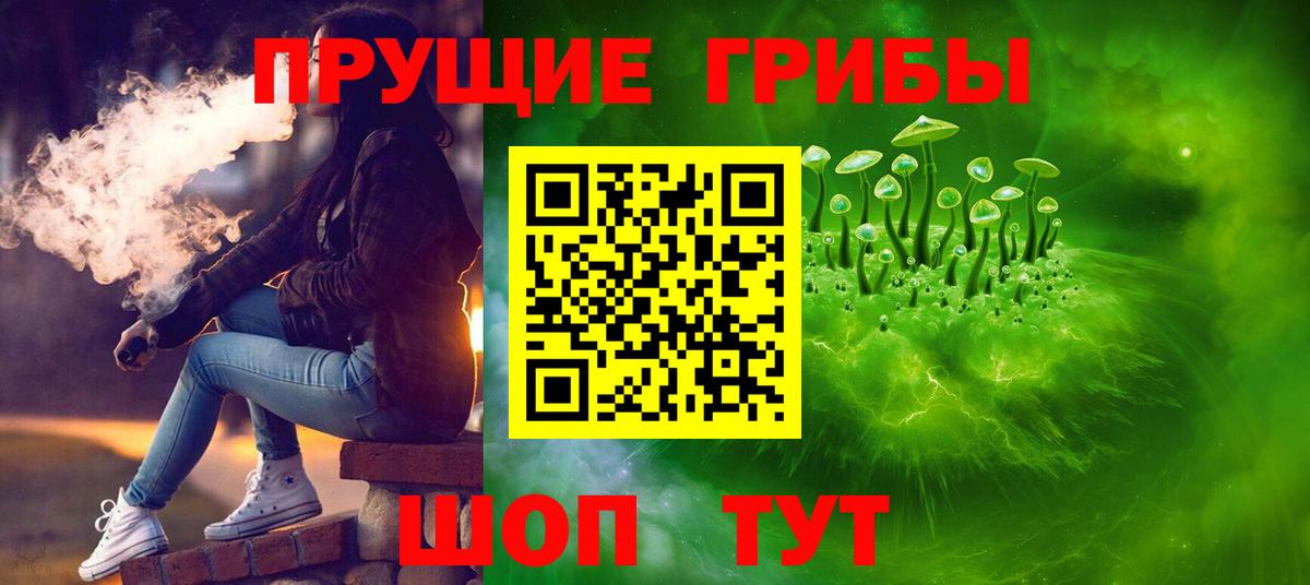 Псилоцибиновые грибы прущие грибы  Вход с VPN  Лосино-Петровский 