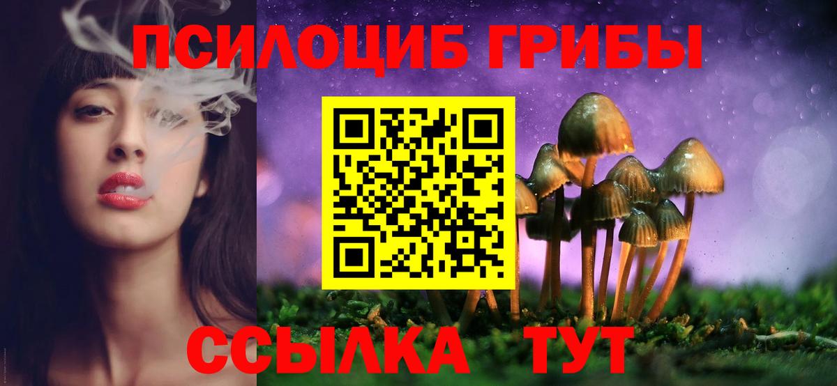 Галлюциногенные грибы Psilocybe Лосино-Петровский