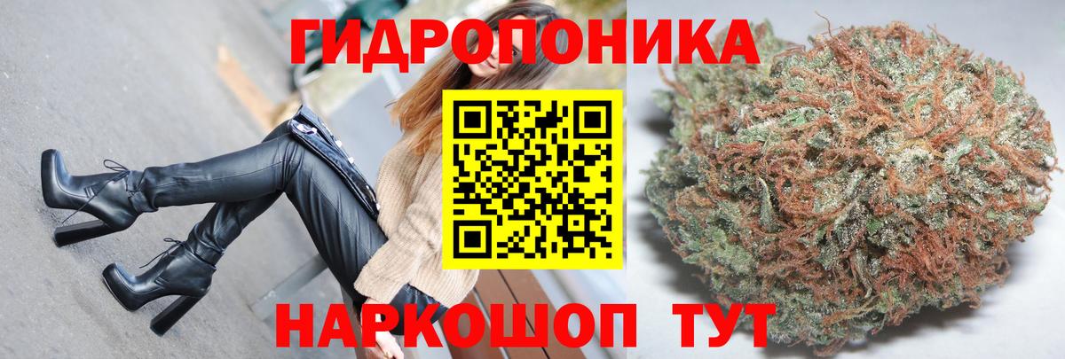 Каннабис конопля  Вход с VPN  Бошки Шишки VHQ  Шишки марихуана OG Kush  Шишки марихуана сатива  Лосино-Петровский 
